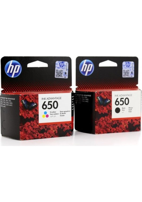 HP Ink Original Multipack 650 CZ101A/CZ102A